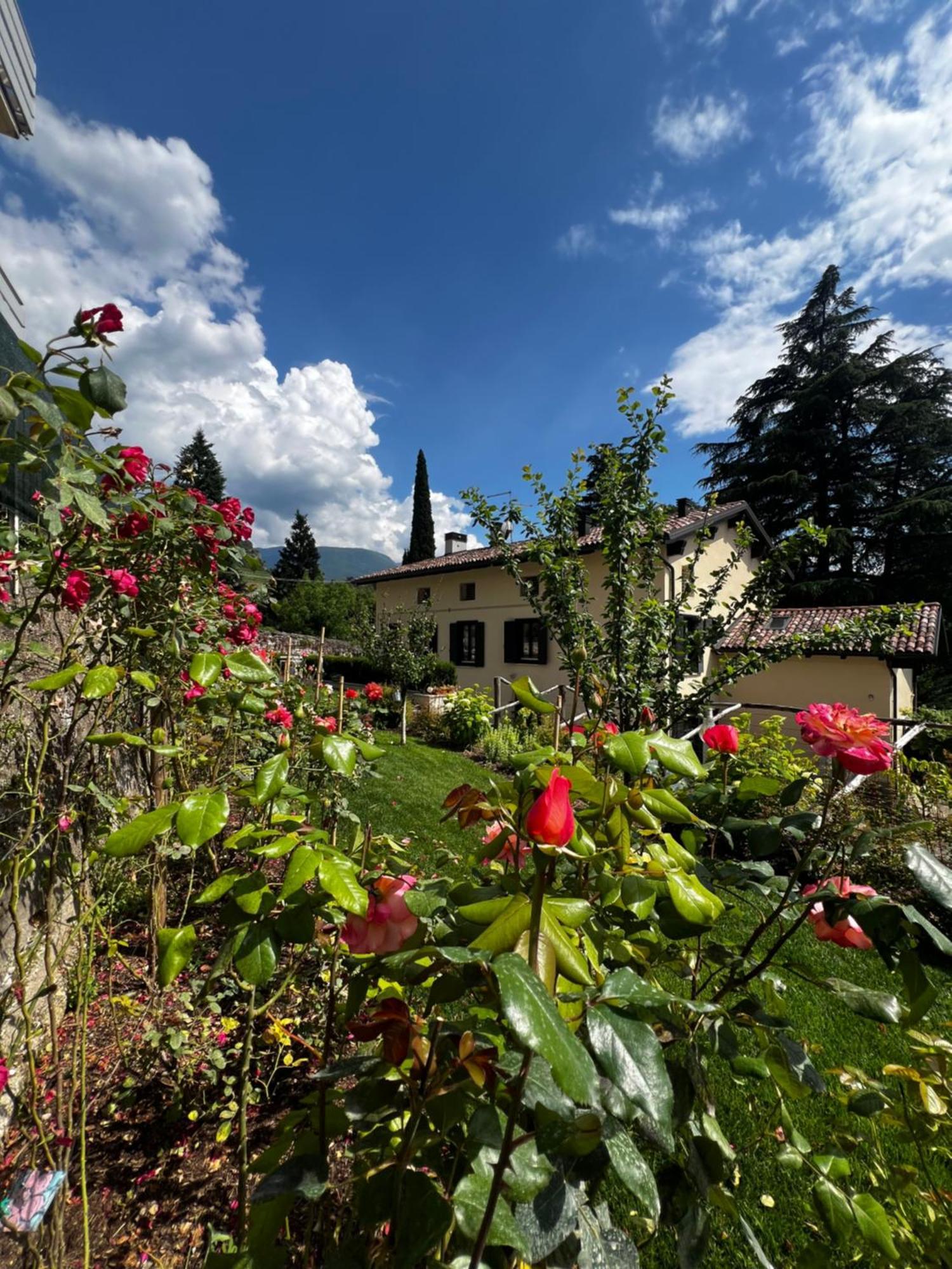 B&B Ca'Rina Rovereto  Exterior foto